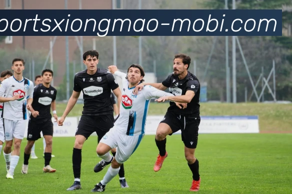 熊猫体育APP 封面图