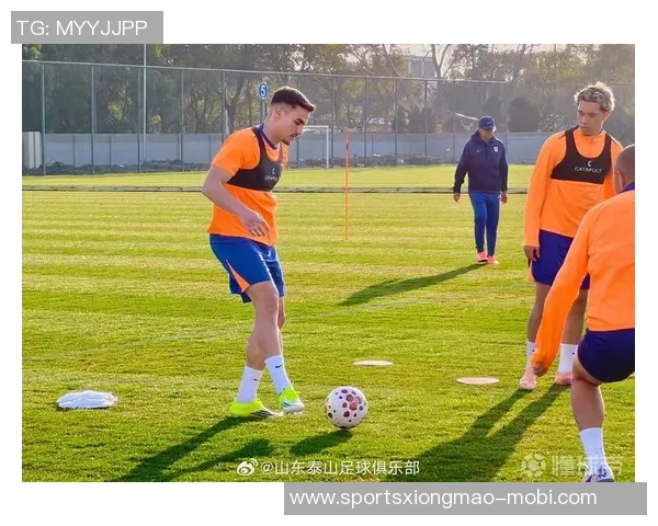 鲁媒报道泰山队海口冬训首阶段新星依木兰等三人将缺席